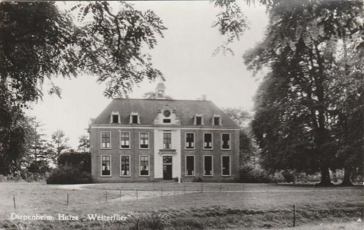 DIEPENHEIM Huize Westerflier, Verzamelen, Ansichtkaarten | Nederland, Ongelopen, Overijssel, 1960 tot 1980, Verzenden