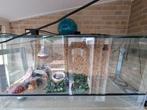 Terrarium 120x60x50cm, Dieren en Toebehoren, Ophalen, Gebruikt