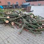Brandhout stammen. Zitten paar dikke lange bij. j, 3 tot 6 m³, Ophalen of Verzenden, Beukenhout, Stammen