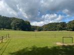 Weidegang 24/7 pensioen paard, Dieren en Toebehoren, Stalling en Weidegang, Weidegang, 1 paard of pony