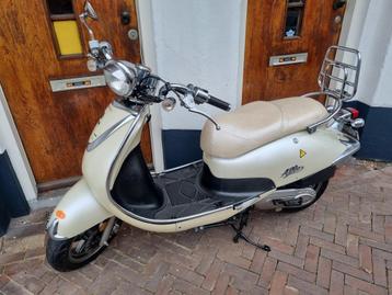 Sym Allo Geel snor 1099 brom 1249 bij scooterforyou, zwolle beschikbaar voor biedingen