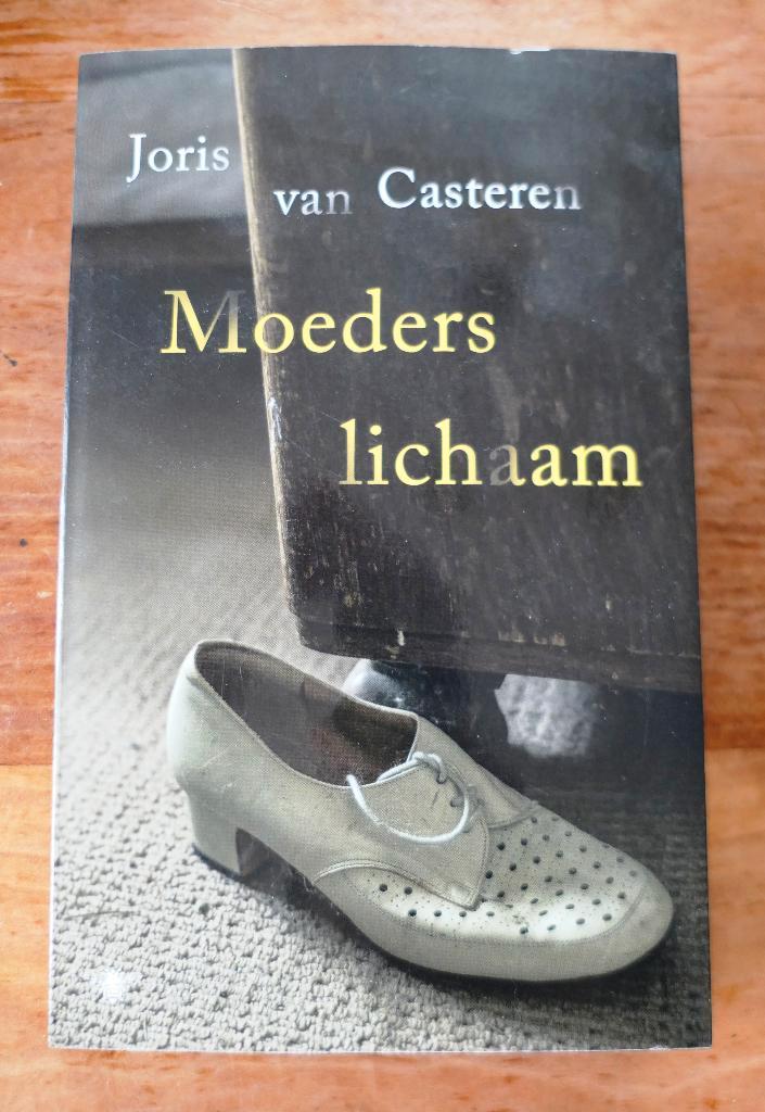 Joris van Casteren - Moeders lichaam, Boeken, Literatuur, Zo goed als nieuw, Nederland, Ophalen of Verzenden