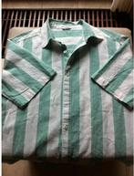 Heren overhemd Hema mt L groen/wit, Kleding | Heren, Overhemden, Hema, Overige kleuren, Ophalen of Verzenden, Zo goed als nieuw