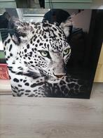 Luipaard Schilderij op Glas - 60x60cm, Huis en Inrichting, Woonaccessoires | Schilderijen, Tekeningen en Foto's, Ophalen, 50 tot 75 cm