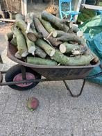 Wilg  gezaagd, Tuin en Terras, Haardhout, Ophalen of Verzenden