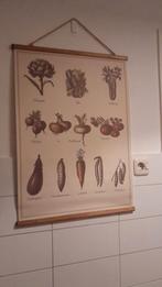 Leuke poster met groenten voor de keuken, Overige materialen, 50 tot 75 cm, Ophalen of Verzenden, Zo goed als nieuw