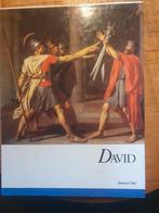 David, Boeken, Ophalen of Verzenden, Zo goed als nieuw