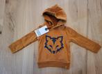 Nieuw! Koko Noko hoodie, wolf, camel, jongen, maat 74, Kinderen en Baby's, Babykleding | Maat 74, Truitje of Vestje, Nieuw, Ophalen of Verzenden