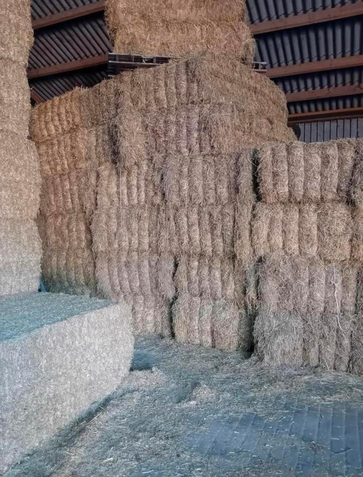 Kurk droog hooi paardenvoer, Dieren en Toebehoren, Dierenvoeding, Overige soorten, Ophalen