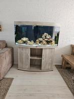Mooie aquarium tekoop 260 liter juwel vision Met led, Dieren en Toebehoren, Vissen | Aquaria en Toebehoren, Gebruikt, Ophalen of Verzenden