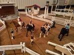 Schleich set met paarden, poppetjes en huifkar, Ophalen of Verzenden, Gebruikt, Jongen of Meisje
