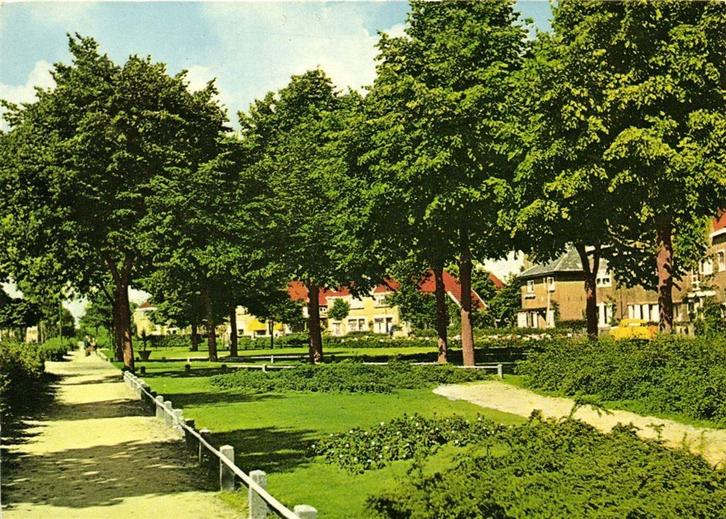 Geertruidenberg, Wilhelminaplein - 1982 gelopen, Verzamelen, Ansichtkaarten | Nederland, Ongelopen, Noord-Brabant, Voor 1920, Ophalen of Verzenden