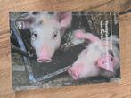 Verschillende dierverzorgings boeken niveau mbo 3, Ophalen of Verzenden, Zo goed als nieuw, Overige niveaus, Overige vakken