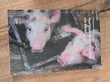 Verschillende dierverzorgings boeken niveau mbo 3 beschikbaar voor biedingen