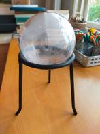 Glazen Bol / Waarzegger / Toekomst Voorspellen, Ophalen of Verzenden