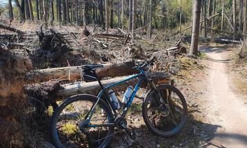 TREK superfly 8, 29 inch,  beschikbaar voor biedingen