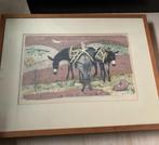 Litho rustende pakezels van Rolf Gfelier, Antiek en Kunst, Ophalen of Verzenden