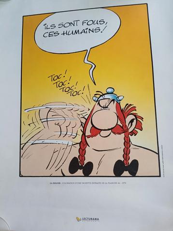 Obelix poster Ils sont fous ces humains!. Lecturama 1999 beschikbaar voor biedingen