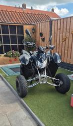 Access sp50 xxl quad, Ophalen, Gebruikt, Maximaal 45 km/u, Benzine