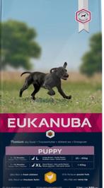 Eukanuba Hond Puppy L Kip brokken, Ophalen, Hond