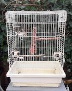 Vogel kooi, Ophalen of Verzenden, Zo goed als nieuw, Metaal, Vogelkooi