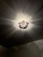 Plafon lamp, Ophalen, Gebruikt, Glas