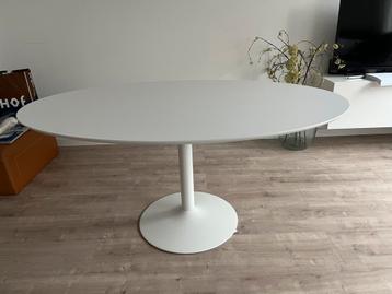 Eettafel ovaal beschikbaar voor biedingen