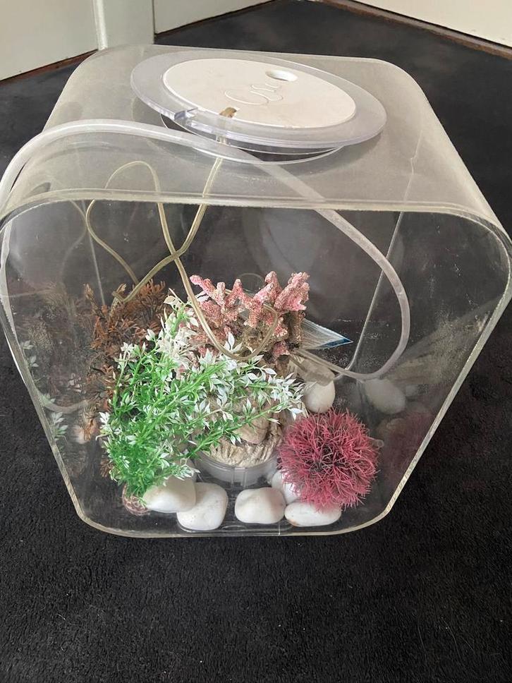 Aquarium Biorb 15 L, Dieren en Toebehoren, Vissen | Aquaria en Toebehoren, Gebruikt, Ophalen