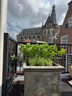 Plantenbakken, Tuin en Terras, Bloembakken en Plantenbakken, Ophalen, Gebruikt