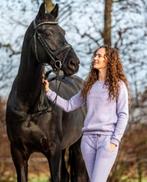 Sambucco sweater en broek, Kleding | Dames, Maat 38/40 (M), Sambucco, Overige kleuren, Nieuw