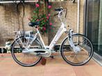 Elektrische Gazelle chamonix voorwiel motor D53