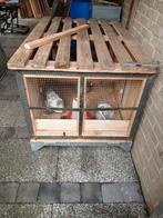 Kuiken hok, Ophalen, Kippenhok of Kippenren