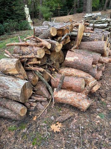 Haardhout grenen beschikbaar voor biedingen