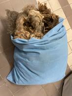 Schapen wol 1vacht, donker bruin/grijs, Ophalen, Zo goed als nieuw, Spinwol