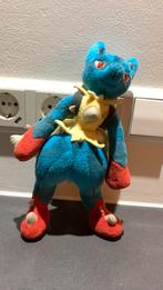 Pokémon knuffel, Ophalen of Verzenden, Zo goed als nieuw, Overige typen