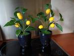 2x kunstplant citroenplantjes, Ophalen of Verzenden, Nieuw