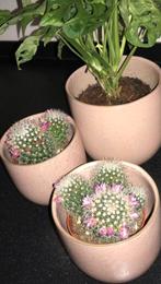 3 bloempotten oudroze, Tuin en Terras, Bloempotten, Ophalen, Rond, Tuin, Zo goed als nieuw