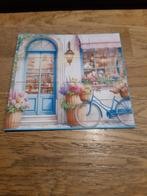 Diepte-Fiets(499), Ophalen of Verzenden, Nieuw, Overige thema's