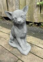 Betonnen Chihuahua beeld, Verzamelen, Beelden en Beeldjes, Ophalen, Zo goed als nieuw, Dier