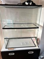 Terrarium, Ophalen, Zo goed als nieuw, Terrarium of Paludarium