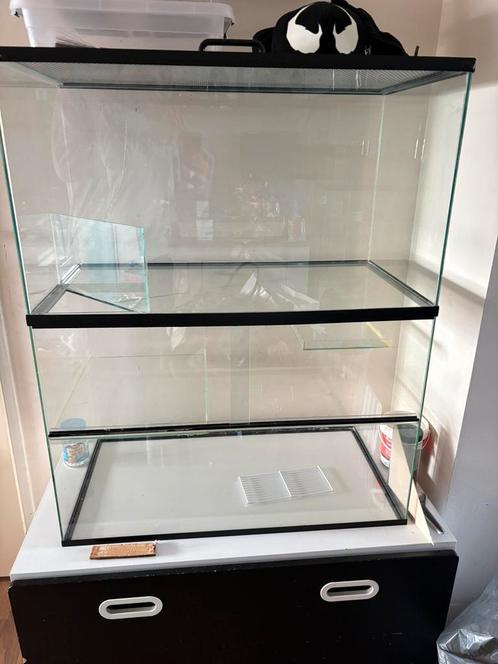 Terrarium, Dieren en Toebehoren, Reptielen en Amfibieën | Toebehoren, Zo goed als nieuw, Terrarium of Paludarium, Ophalen