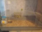 Cavia / konijn verblijf /kooi, Dieren en Toebehoren, Knaagdieren en Konijnen | Hokken en Kooien, Kooi, Cavia, Ophalen, Minder dan 60 cm