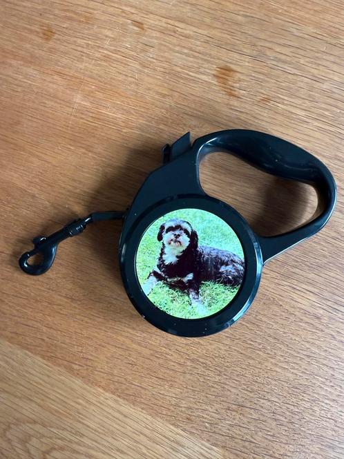 Gepersonaliseerde uitlaat riem. Hondenriem, Dieren en Toebehoren, Hondenriemen, Nieuw, Hondenriem, Ophalen of Verzenden