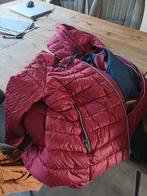 Bordeaux rood, Kleding | Dames, Overige kleuren, S questo, Maat 42/44 (L), Nieuw