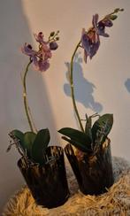 Orchideeën in vaas., Huis en Inrichting, Woonaccessoires | Kunstplanten en Kunstbloemen, Ophalen of Verzenden, Zo goed als nieuw