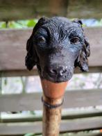 Antieke wandelstok met HOND hoofd, Ophalen