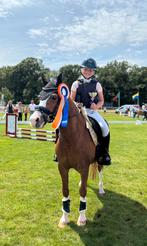 A pony kinderpony te koop!, Dieren en Toebehoren, Pony's, Merrie, Gechipt, Springpony, A pony (tot 1.17m)