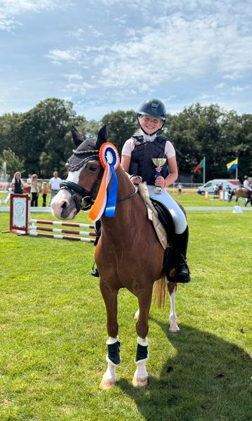 A pony kinderpony te koop! beschikbaar voor biedingen