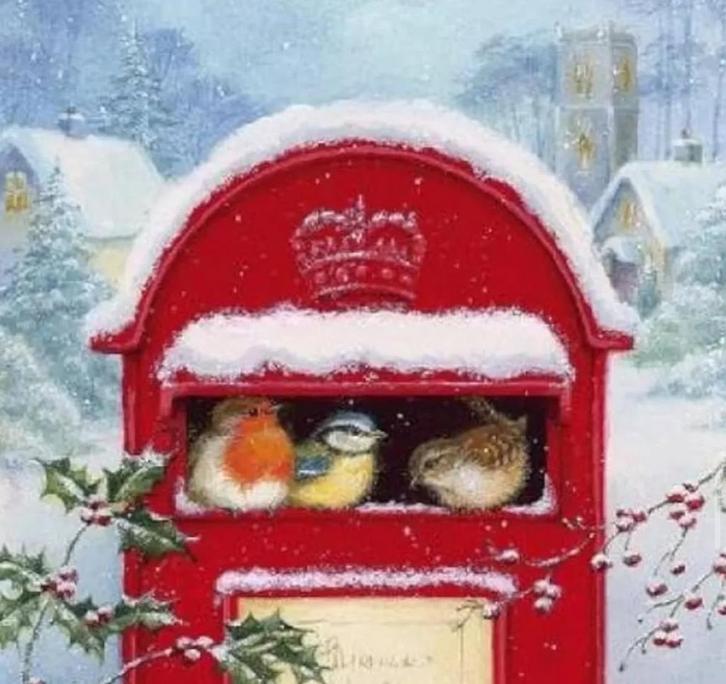 Kerstmagie gezocht, Diversen, Kerst, Zo goed als nieuw, Ophalen