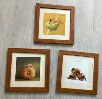 3 schilderijen van anne geddes beschikbaar voor biedingen